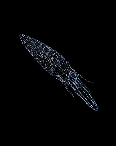 Deep Sea collection Apple Watch face — Bioluminescent Squid by Watch Luxe