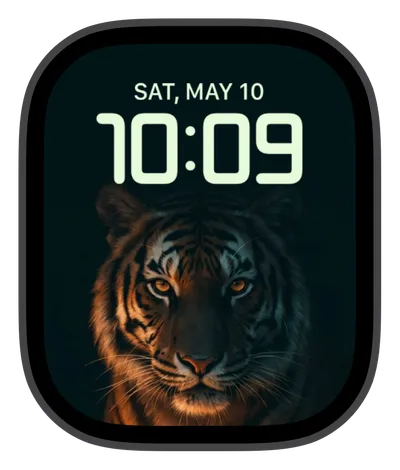 photo Apple Watch face — Tiger's Gaze by Watch Lux